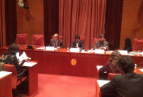 Compareixença del president de l'ICIP al Parlament