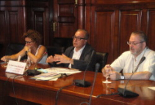 El presidente del ICIP comparece en el Parlamento