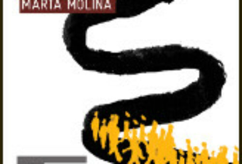 'Del consol a la noviolència', de Marta Molina