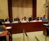 Compareixença del president de l’ICIP al Parlament