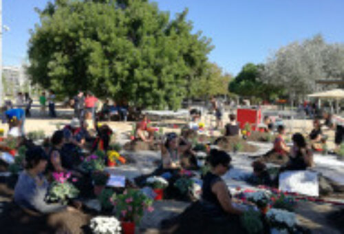Una siembra colectiva para favorecer la reconciliación