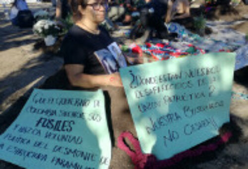 Una sembra col·lectiva per afavorir la reconciliació