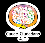 Cauce Ciudadano, Premi ICIP Constructors de Pau 2018